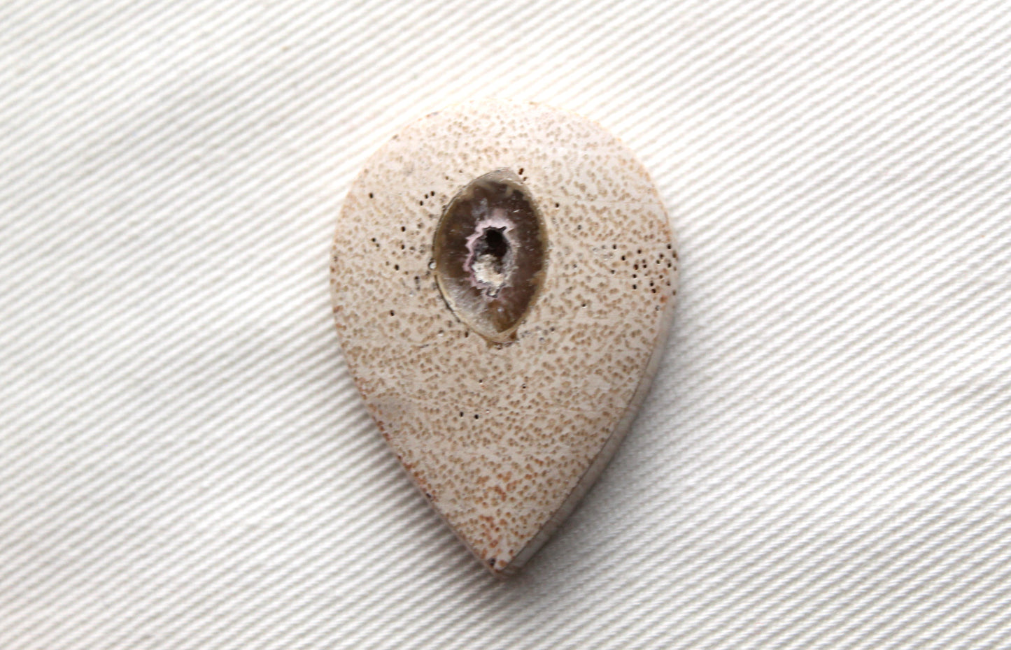 Worm Hole Petrified Wood Cabochon gemstone natural