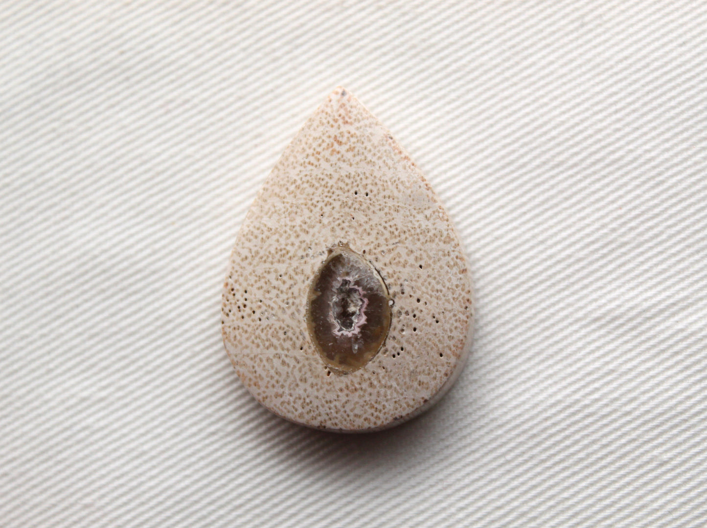 Worm Hole Petrified Wood Cabochon gemstone natural