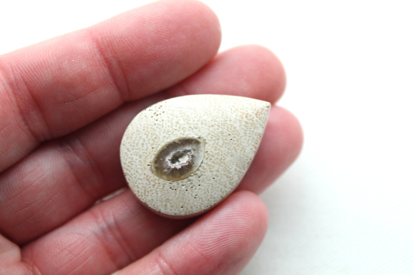 Worm Hole Petrified Wood Cabochon gemstone natural