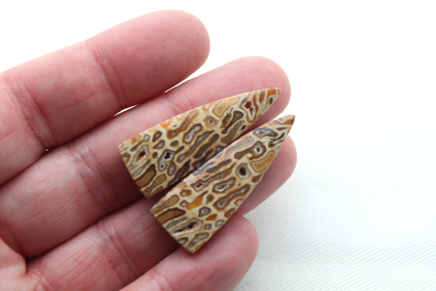 Fossil Palmwood Pair Cabochon Gemstone with druzy pockets