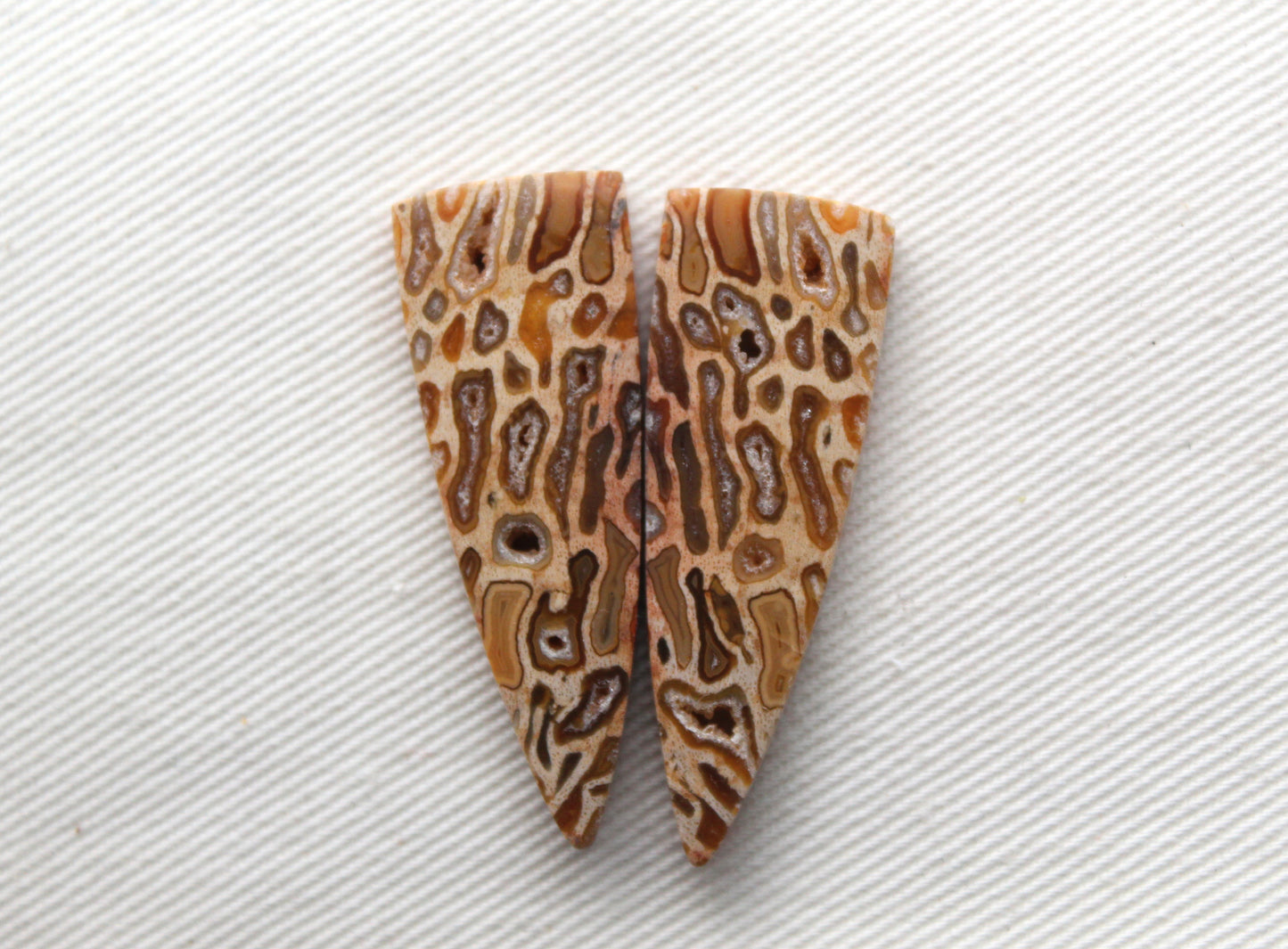 Fossil Palmwood Pair Cabochon Gemstone with druzy pockets