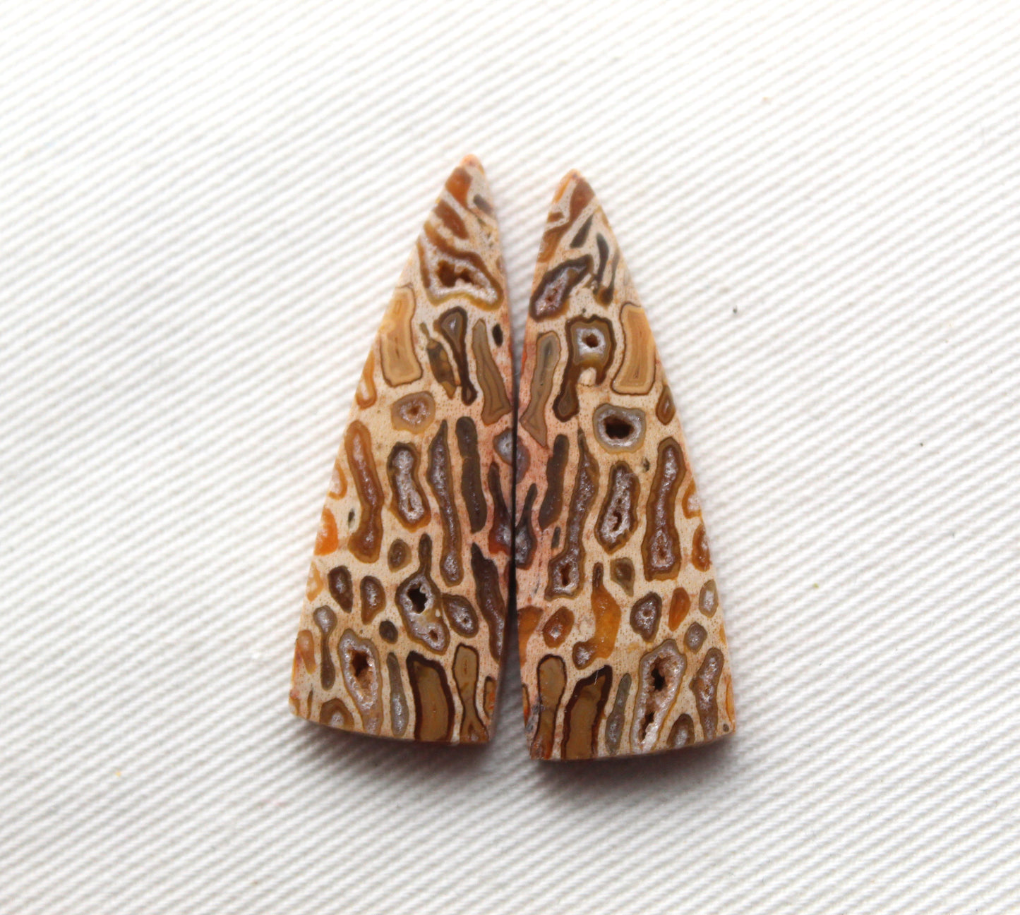 Fossil Palmwood Pair Cabochon Gemstone with druzy pockets