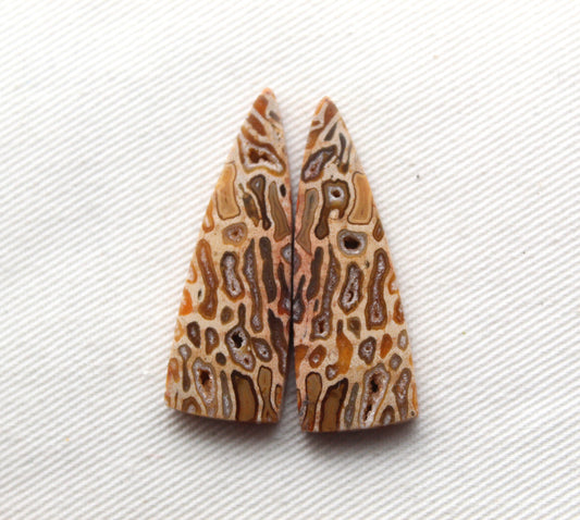 Fossil Palmwood Pair Cabochon Gemstone with druzy pockets