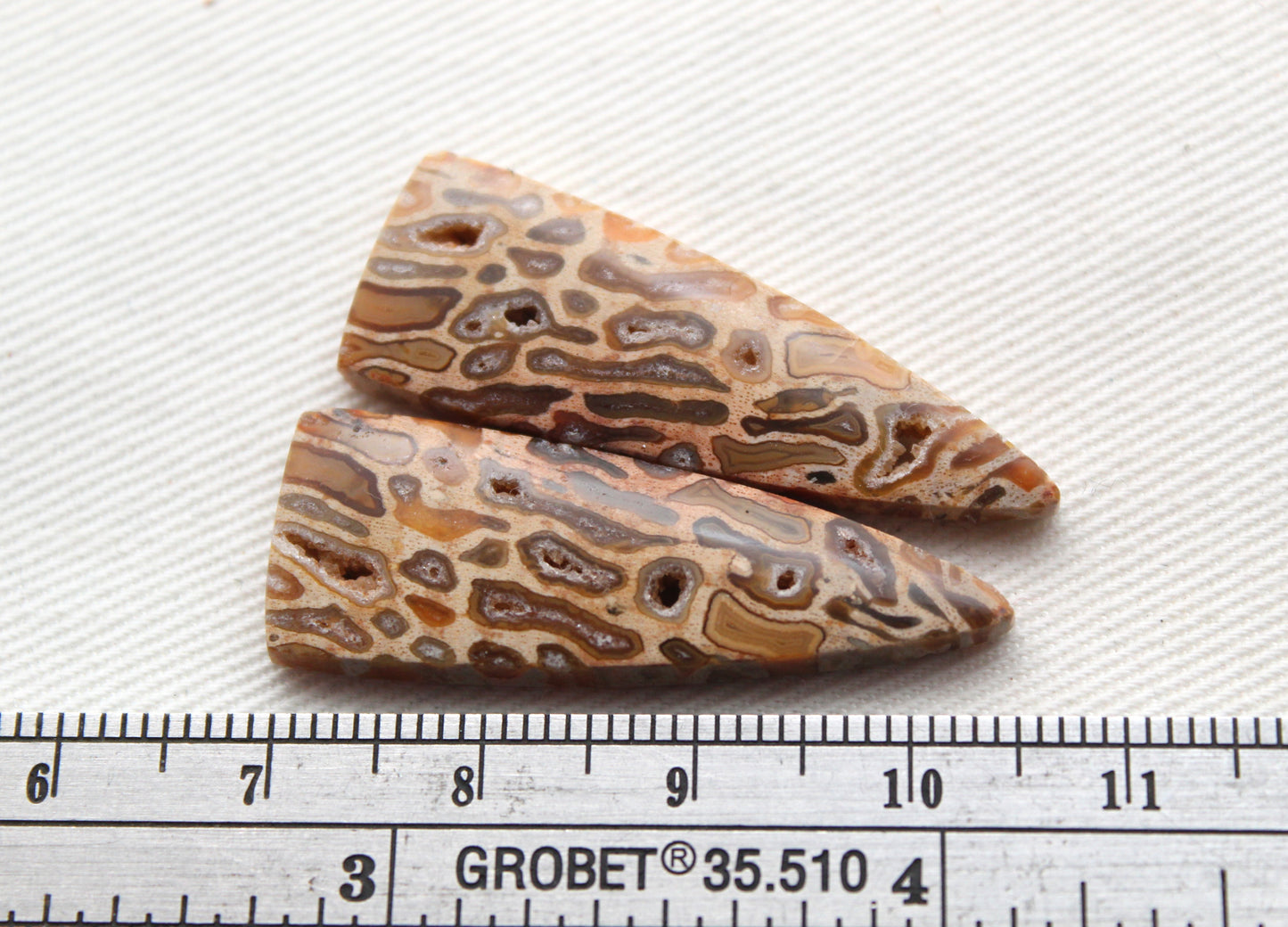 Fossil Palmwood Pair Cabochon Gemstone with druzy pockets
