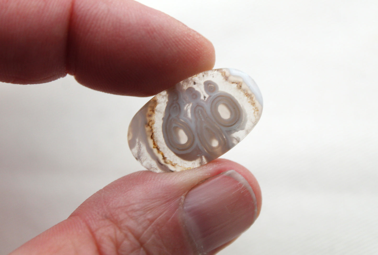 Orbicular Agate Cabochons Pair Gemstone natural
