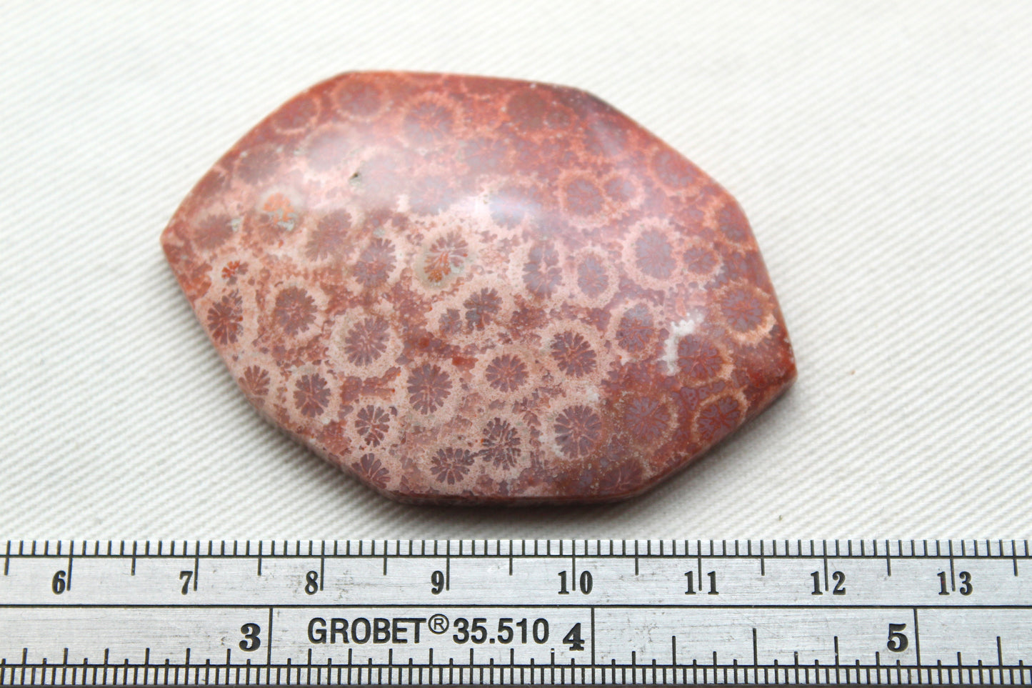 Cabochon en forme de larme de pierre gemme de corail fossilisé