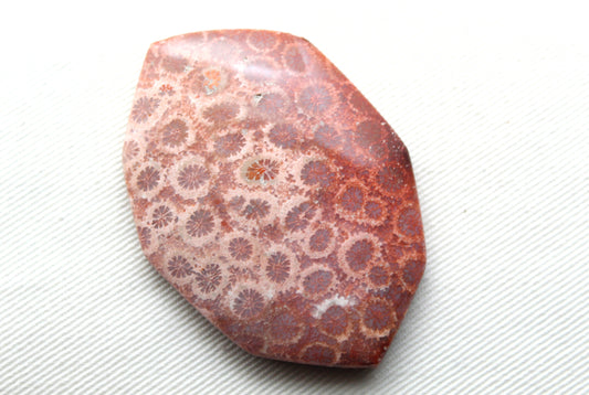 Cabochon en forme de larme de pierre gemme de corail fossilisé