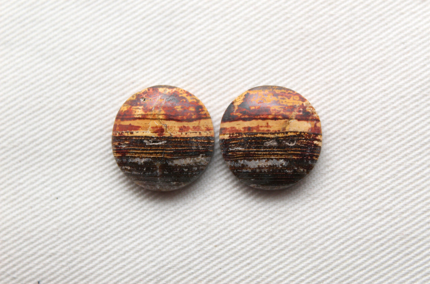 Small Petrified Wood Cabochon Pair natural gemstones round 16MM