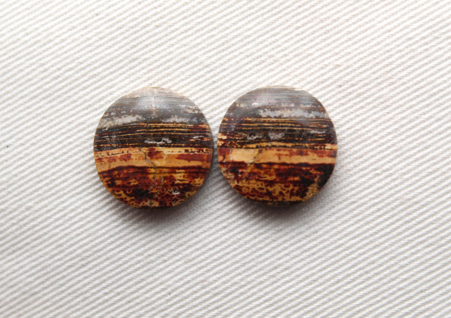 Small Petrified Wood Cabochon Pair natural gemstones round 16MM