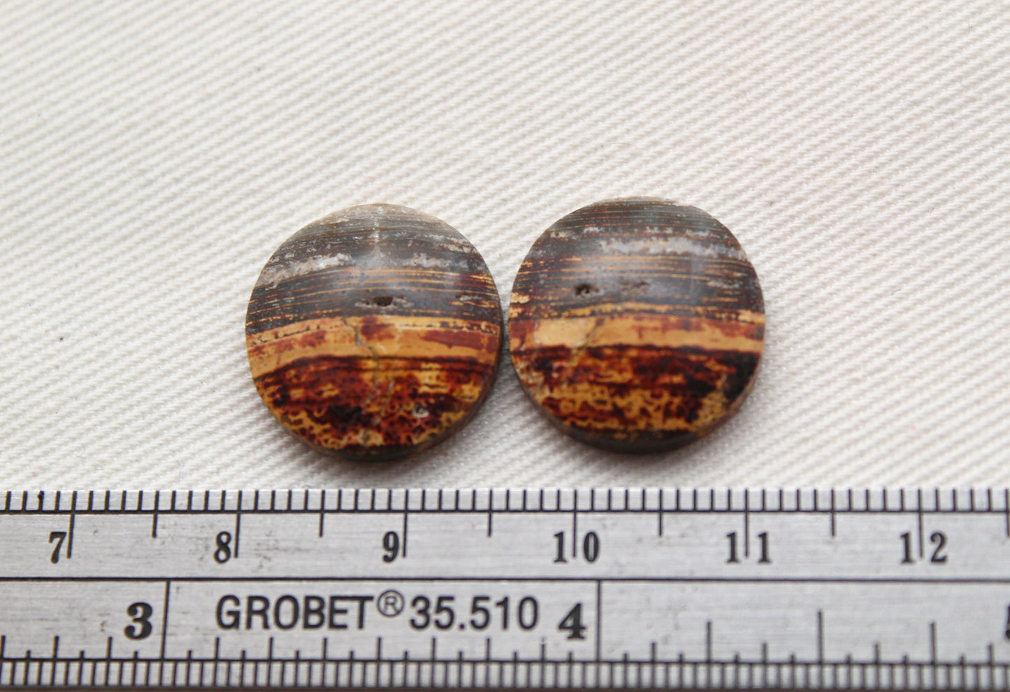 Small Petrified Wood Cabochon Pair natural gemstones round 16MM