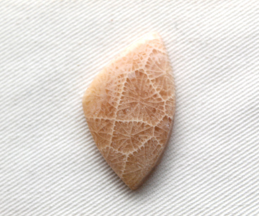 Fossilized Coral Cabochon Gemstone lace patterns