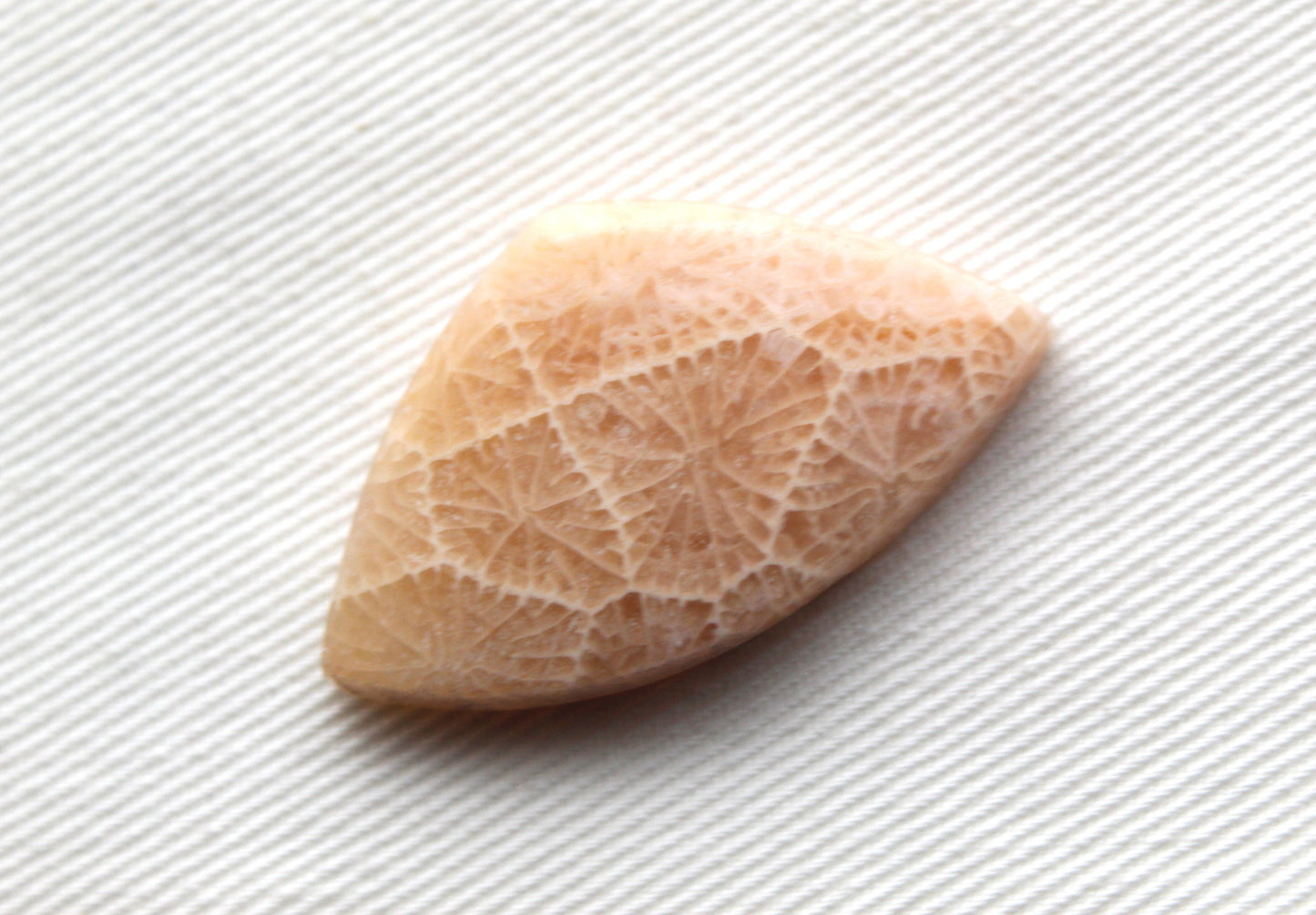 Fossilized Coral Cabochon Gemstone lace patterns