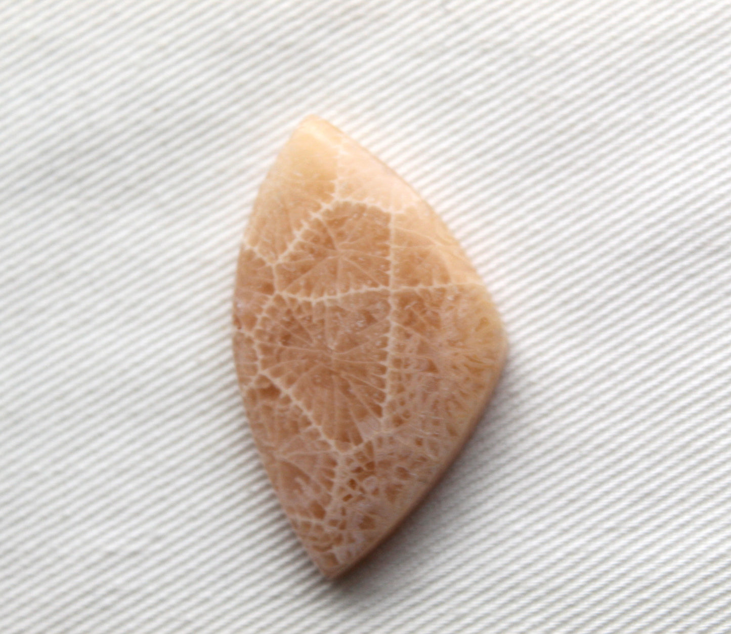 Fossilized Coral Cabochon Gemstone lace patterns
