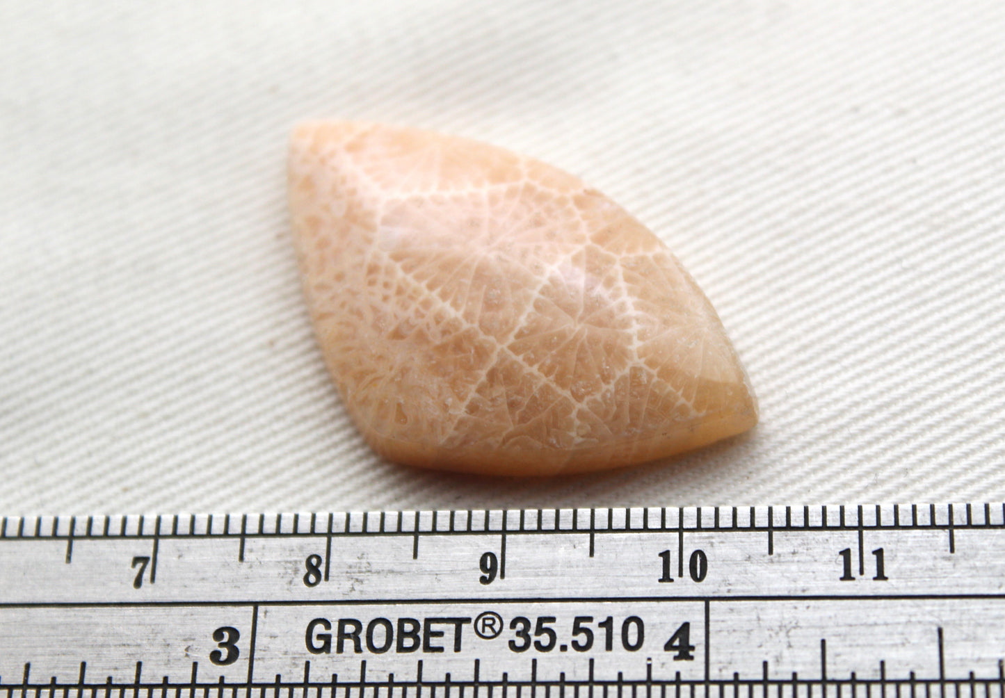 Fossilized Coral Cabochon Gemstone lace patterns