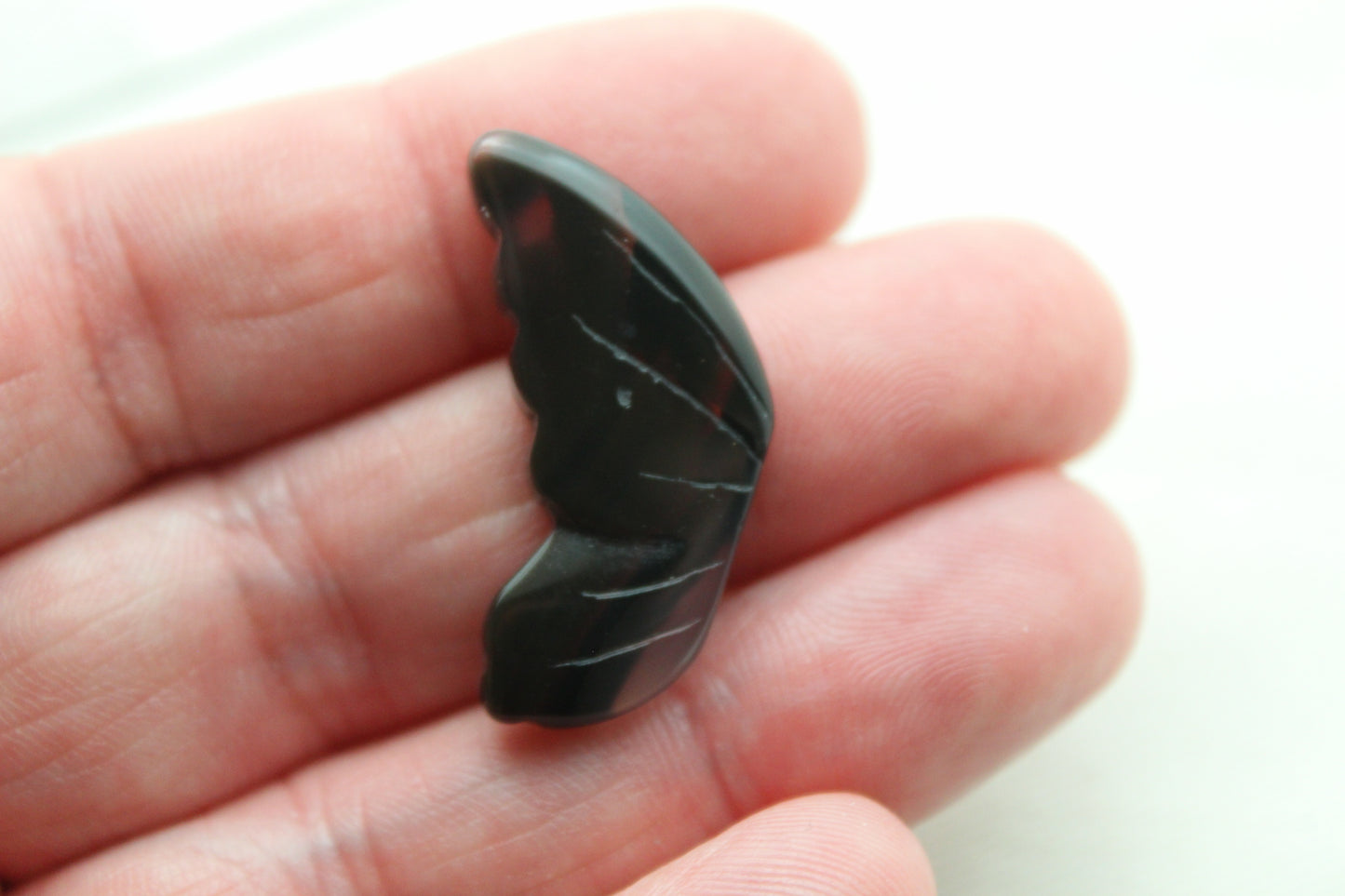 Montana Agate Cabochon Pair Gemstone Clear brown