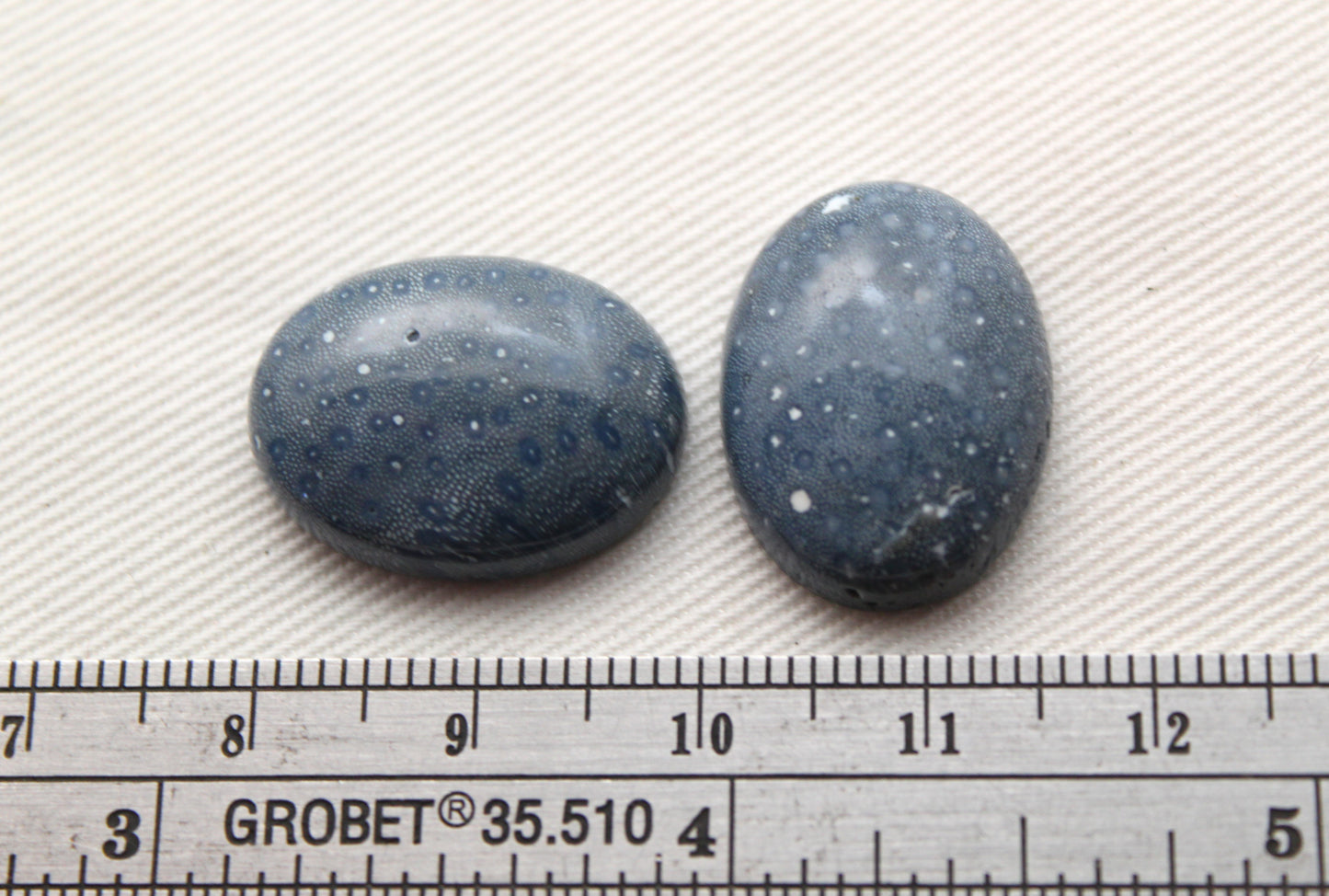 TWO Blue Sponge Coral Gemstone 15x20MM Oval