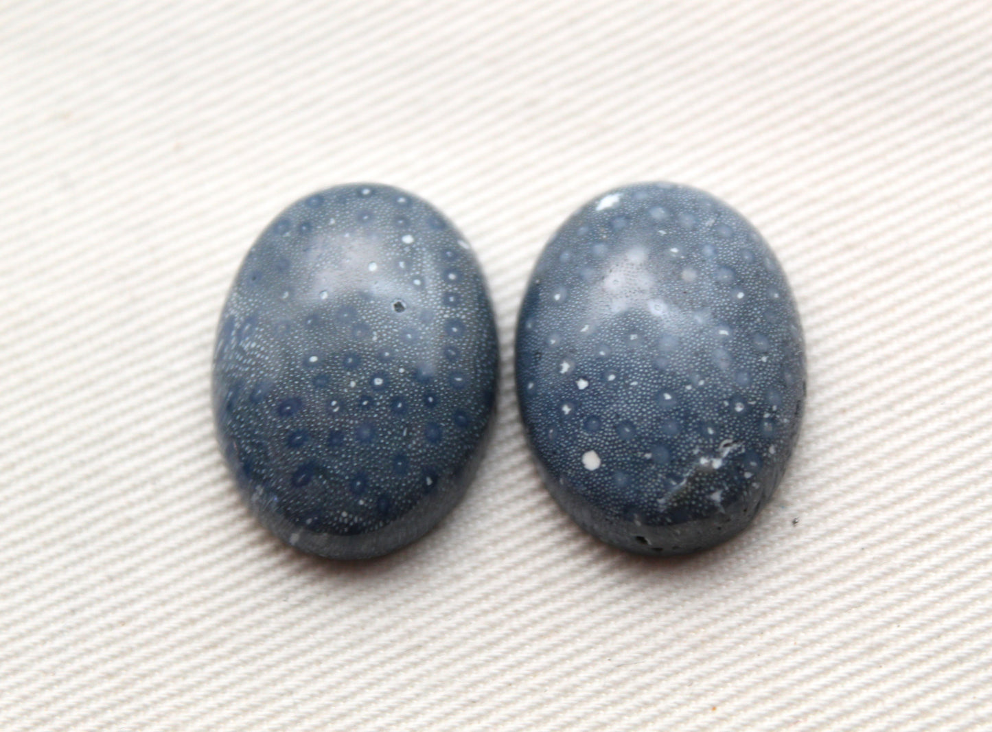 TWO Blue Sponge Coral Gemstone 15x20MM Oval
