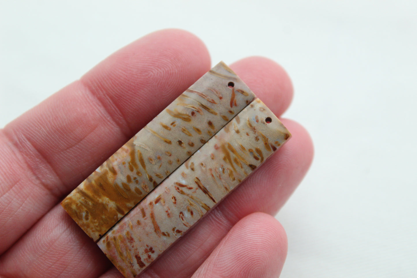 Red Palm Root Cabochon Pair natural gemstones DRILLED