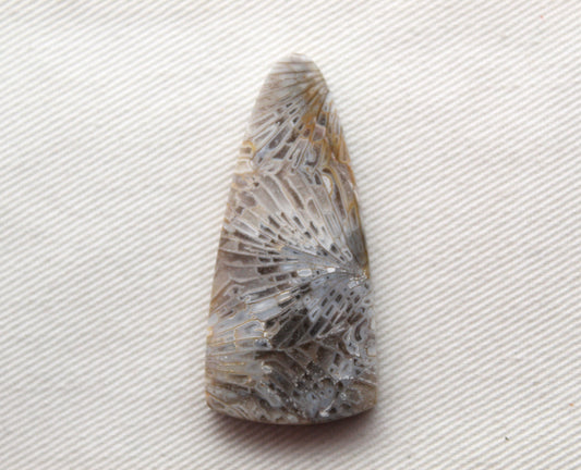 Fossilized Coral Gemstone cabochon
