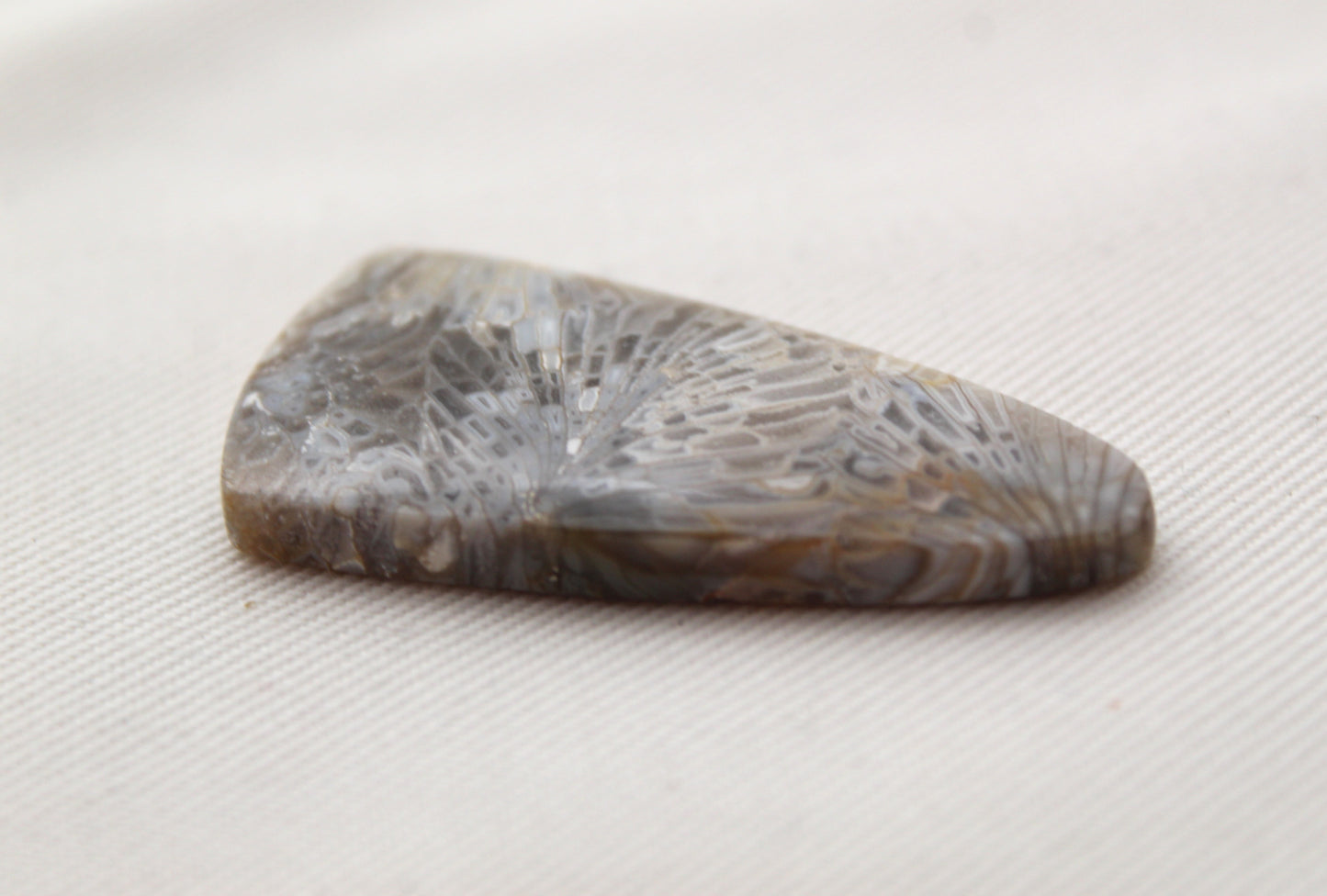 Fossilized Coral Gemstone cabochon