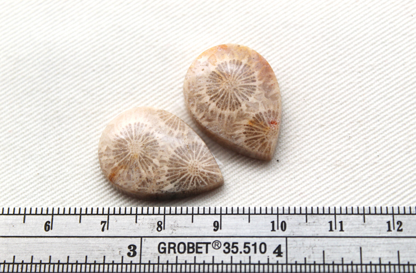 Fossilized Coral Pair of Gemstones cabochon beige natural