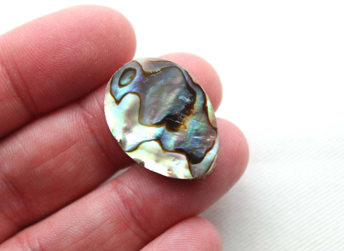 Lot of TWO Abalone DoUBLET EGG shape Cabochon 18x25MM