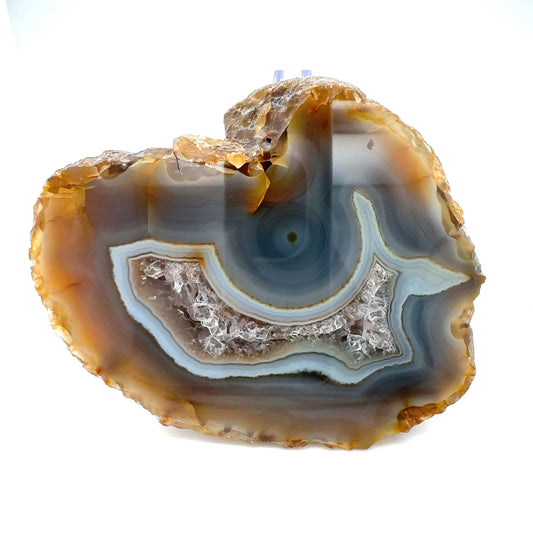 UNIQUE Indonesian banded Agate half nodule polished Whale