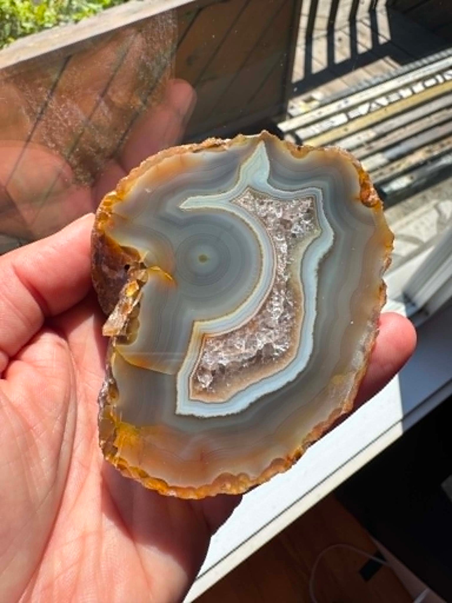 UNIQUE Indonesian banded Agate half nodule polished Whale