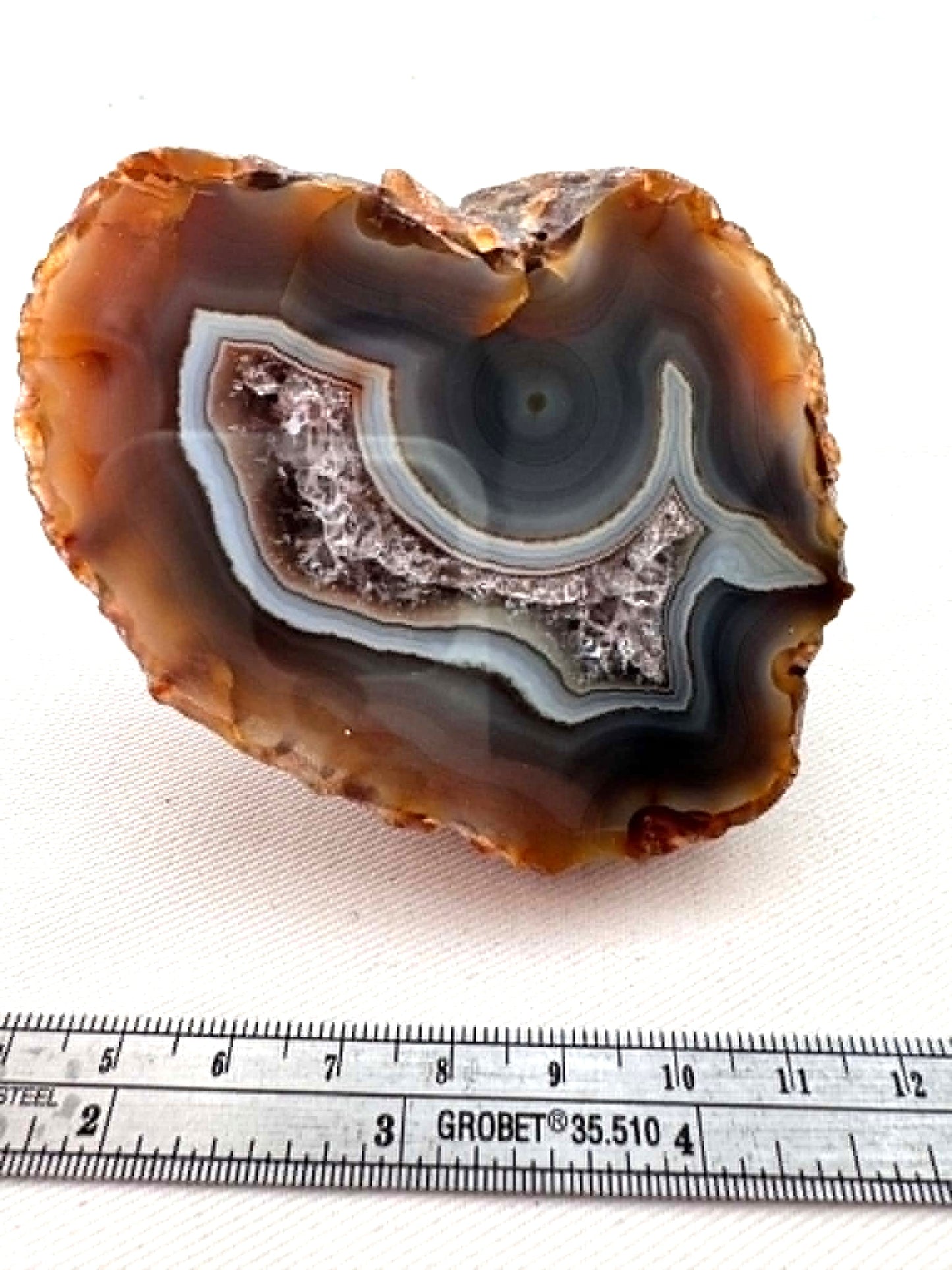UNIQUE Indonesian banded Agate half nodule polished Whale