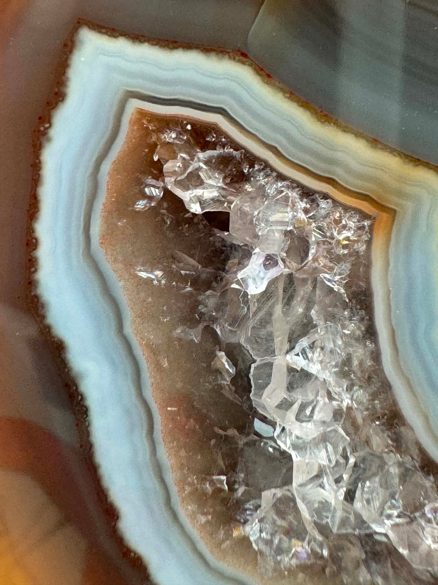 UNIQUE Indonesian banded Agate half nodule polished Whale