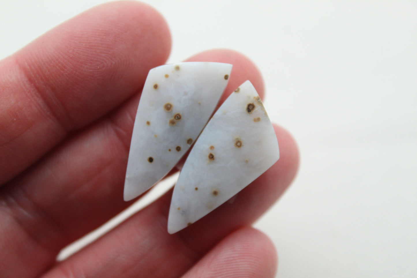 Pair of Polka Dot Agate Cabochons Gemstones