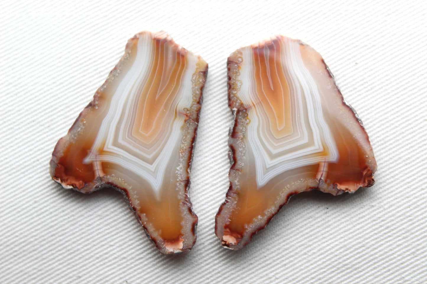Sliced Agate Pair Gemstones freeform natural