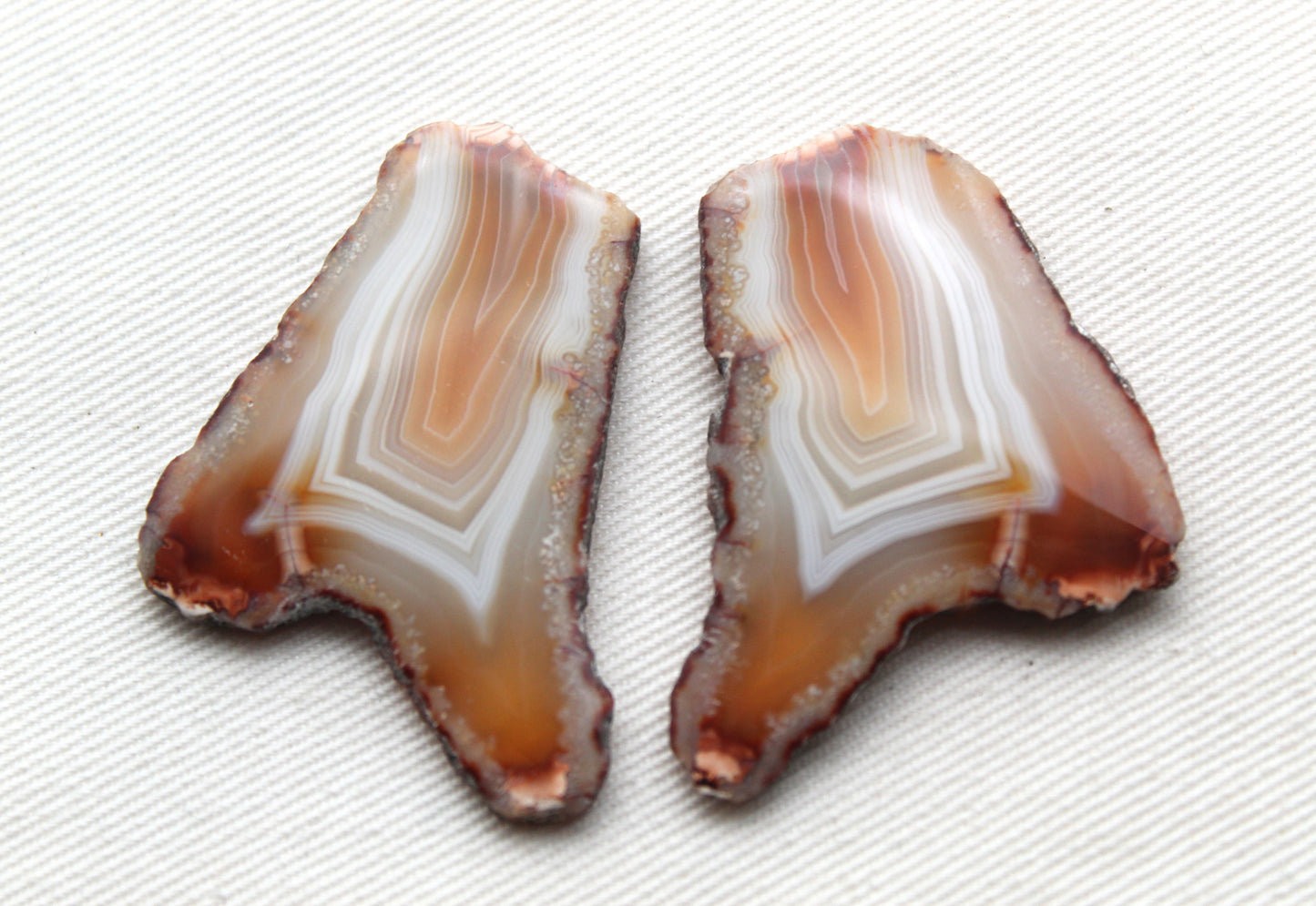 Sliced Agate Pair Gemstones freeform natural