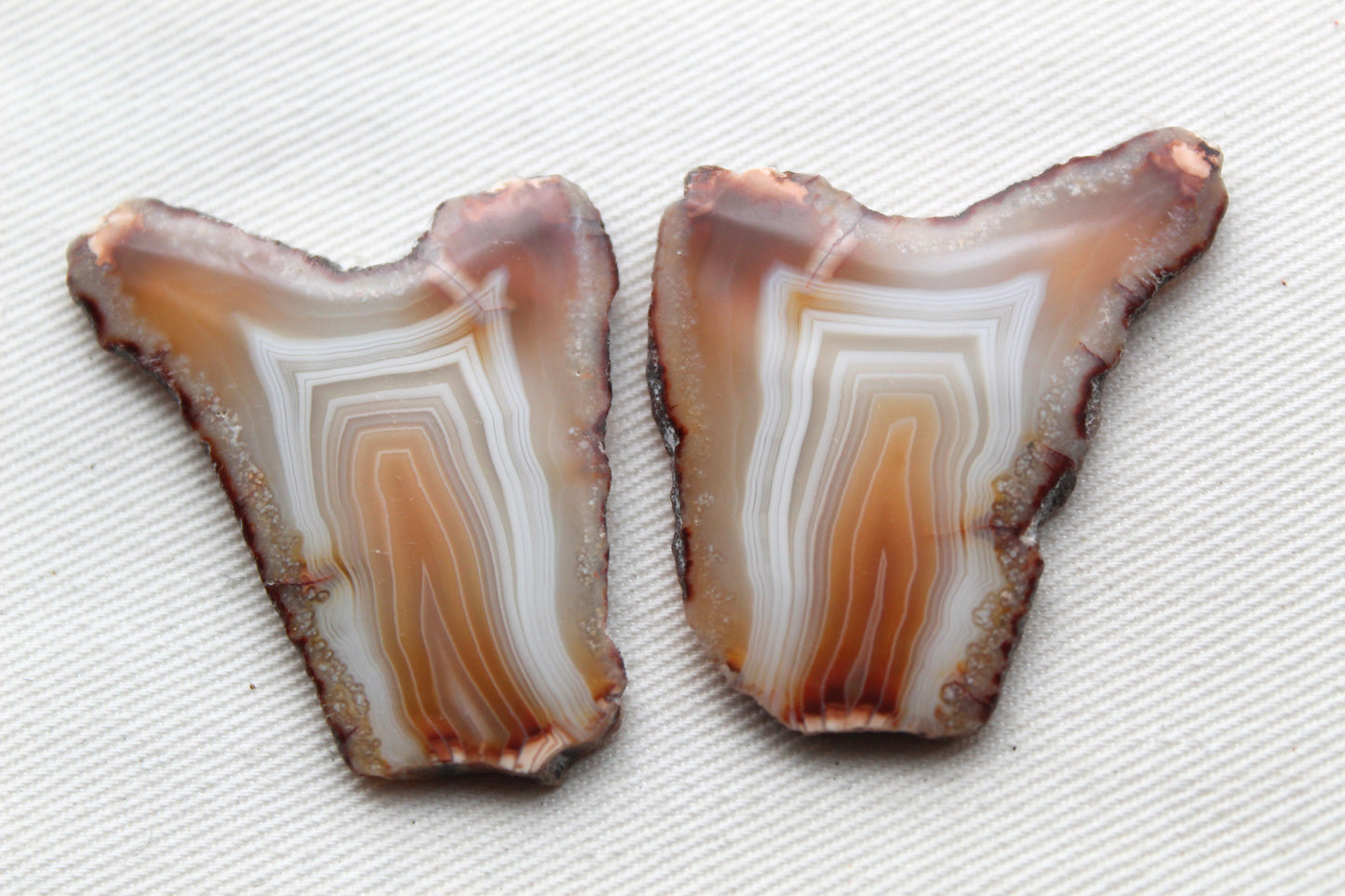 Sliced Agate Pair Gemstones freeform natural