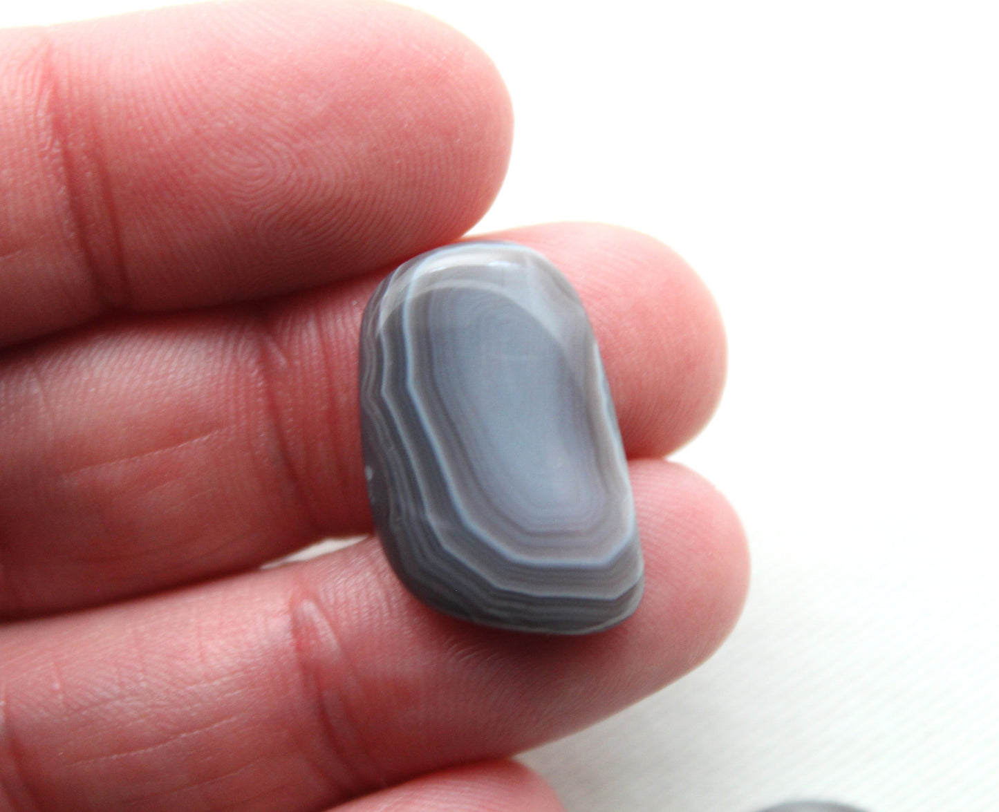 Botswana Agate Pair cabochon Gemstone beige