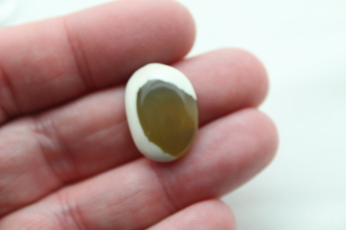 TWO Imperial Jasper cabochons Gemstones green