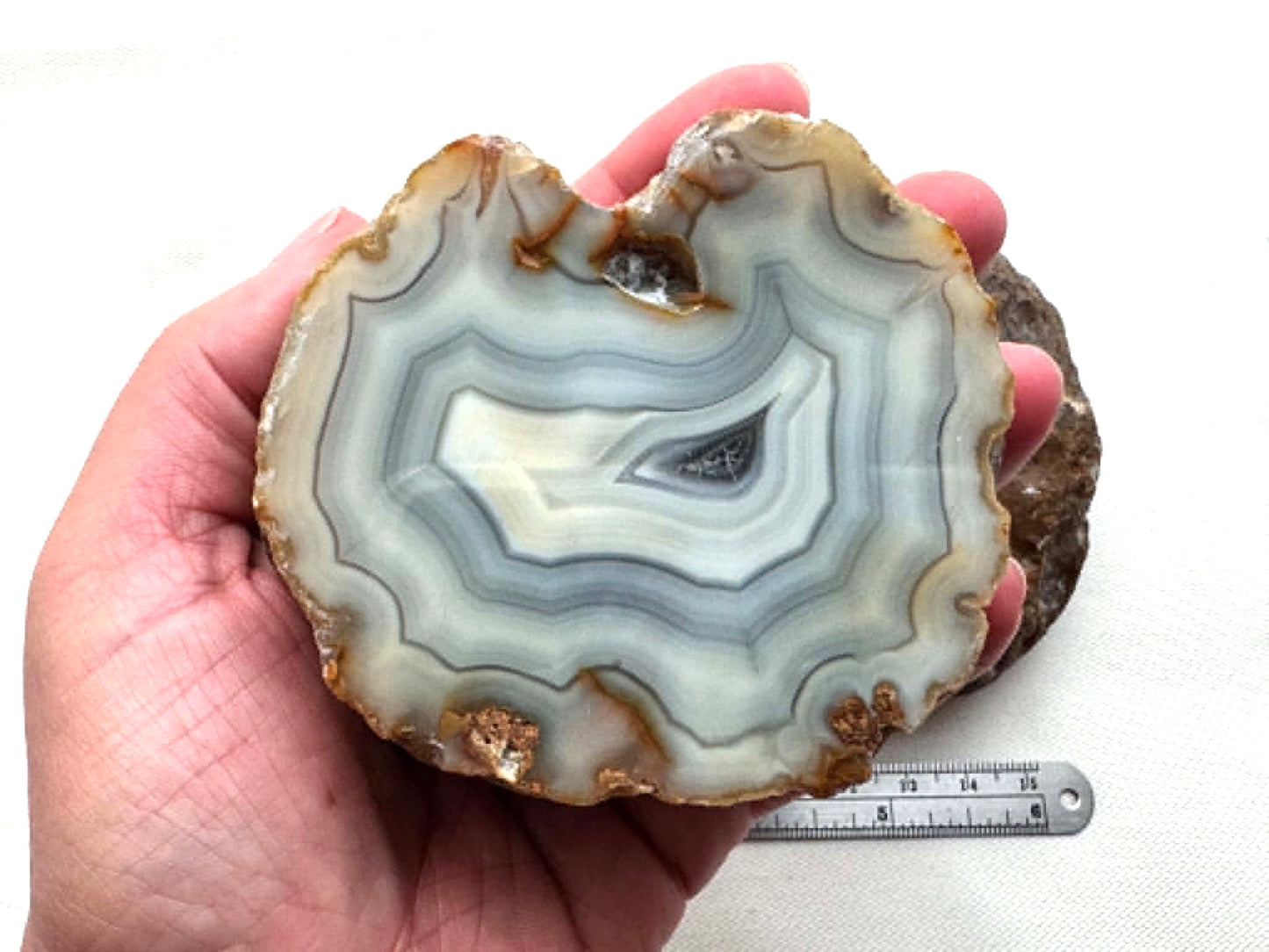 Large Indonesian banded Agate nodule polished blue white