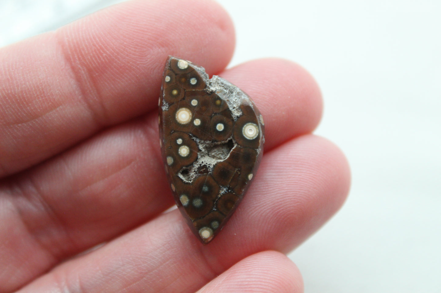 Small River Jasper Cabochon Gemstone brown white with Druzy