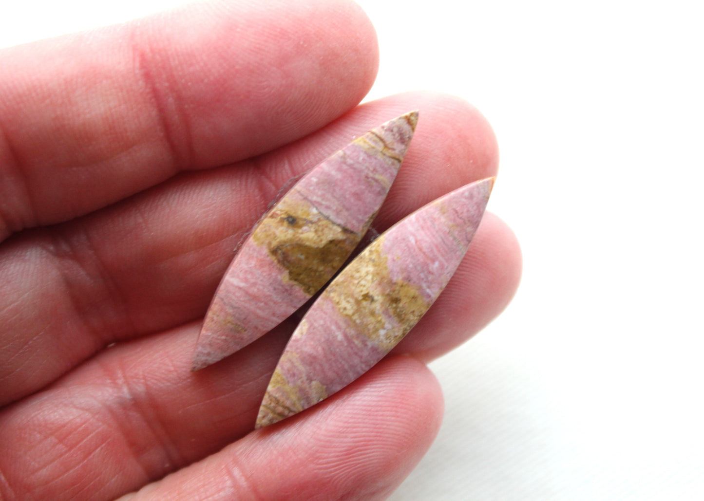 Pink Fossil Wood Pair of Gemstones cabochon natural marquise