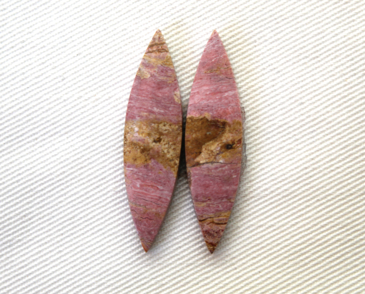 Pink Fossil Wood Pair of Gemstones cabochon natural marquise