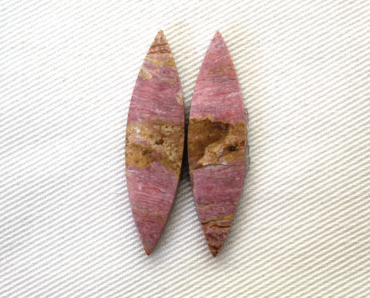 Pink Fossil Wood Pair of Gemstones cabochon natural marquise
