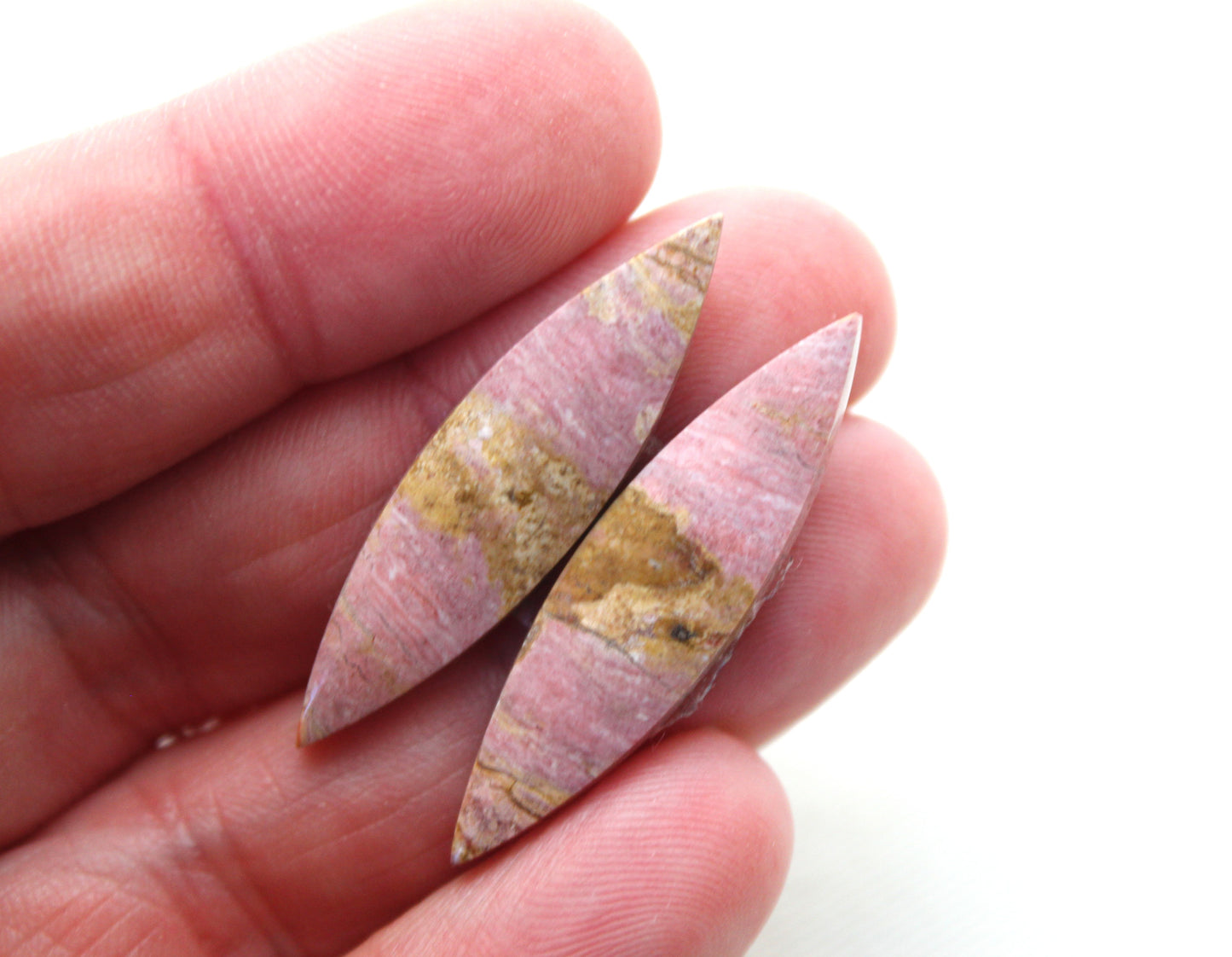 Pink Fossil Wood Pair of Gemstones cabochon natural marquise