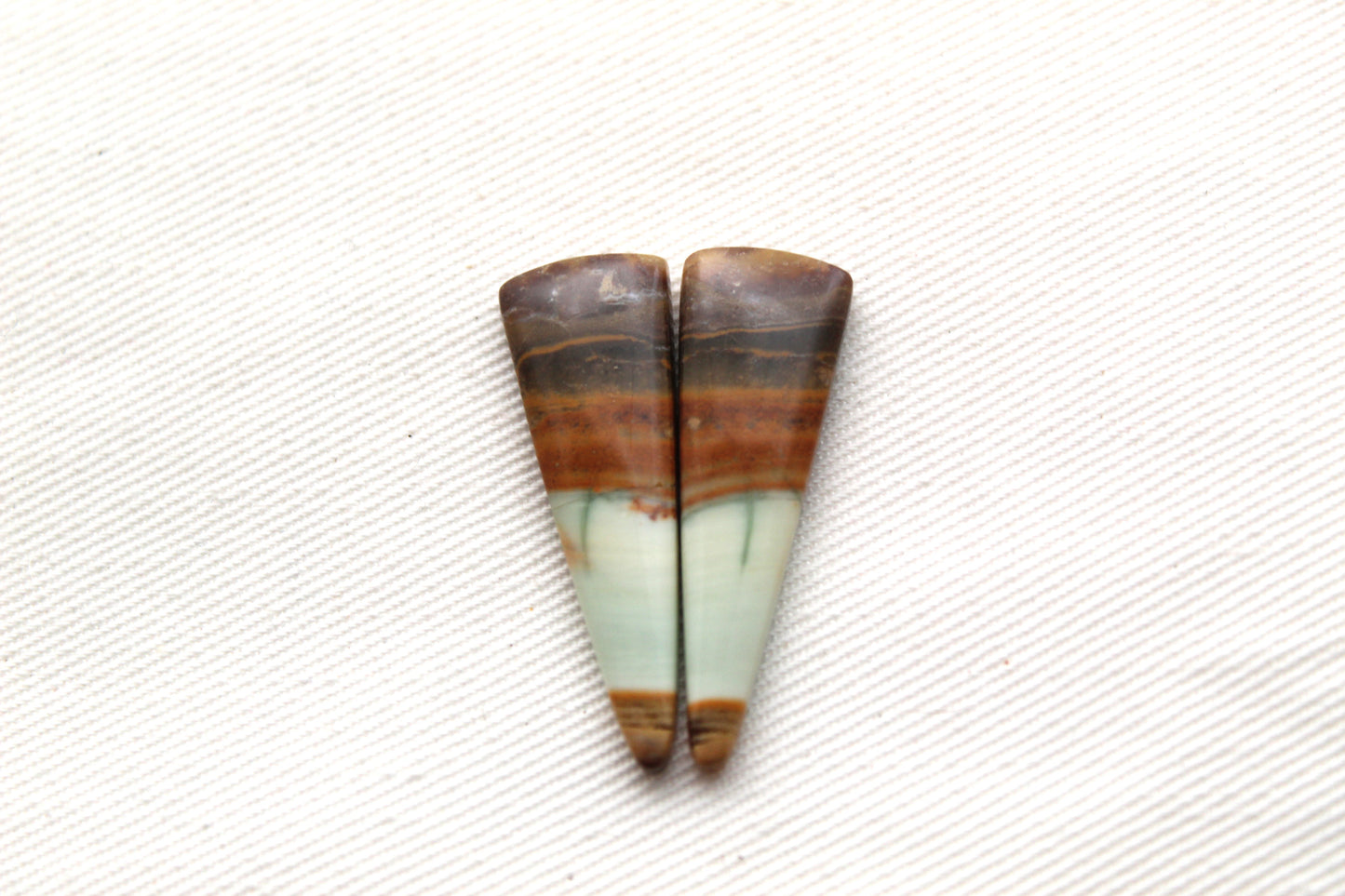 Opalized Petrified Wood Cabochon Pair  green gemstone