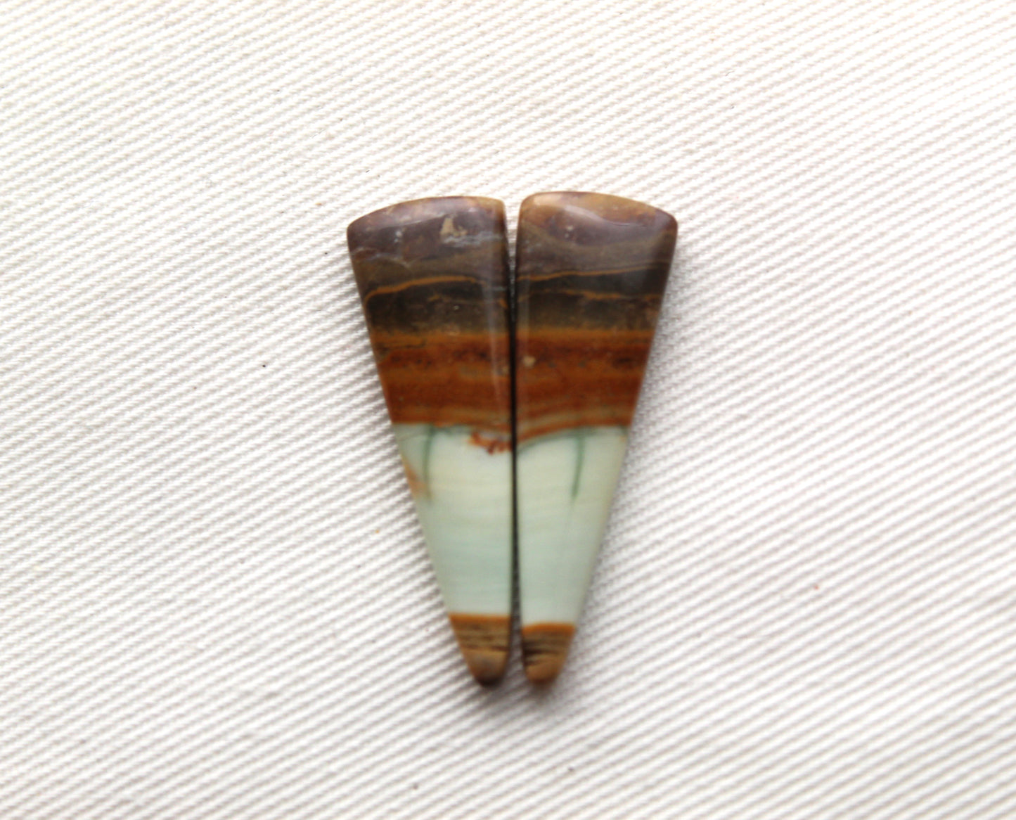Opalized Petrified Wood Cabochon Pair  green gemstone
