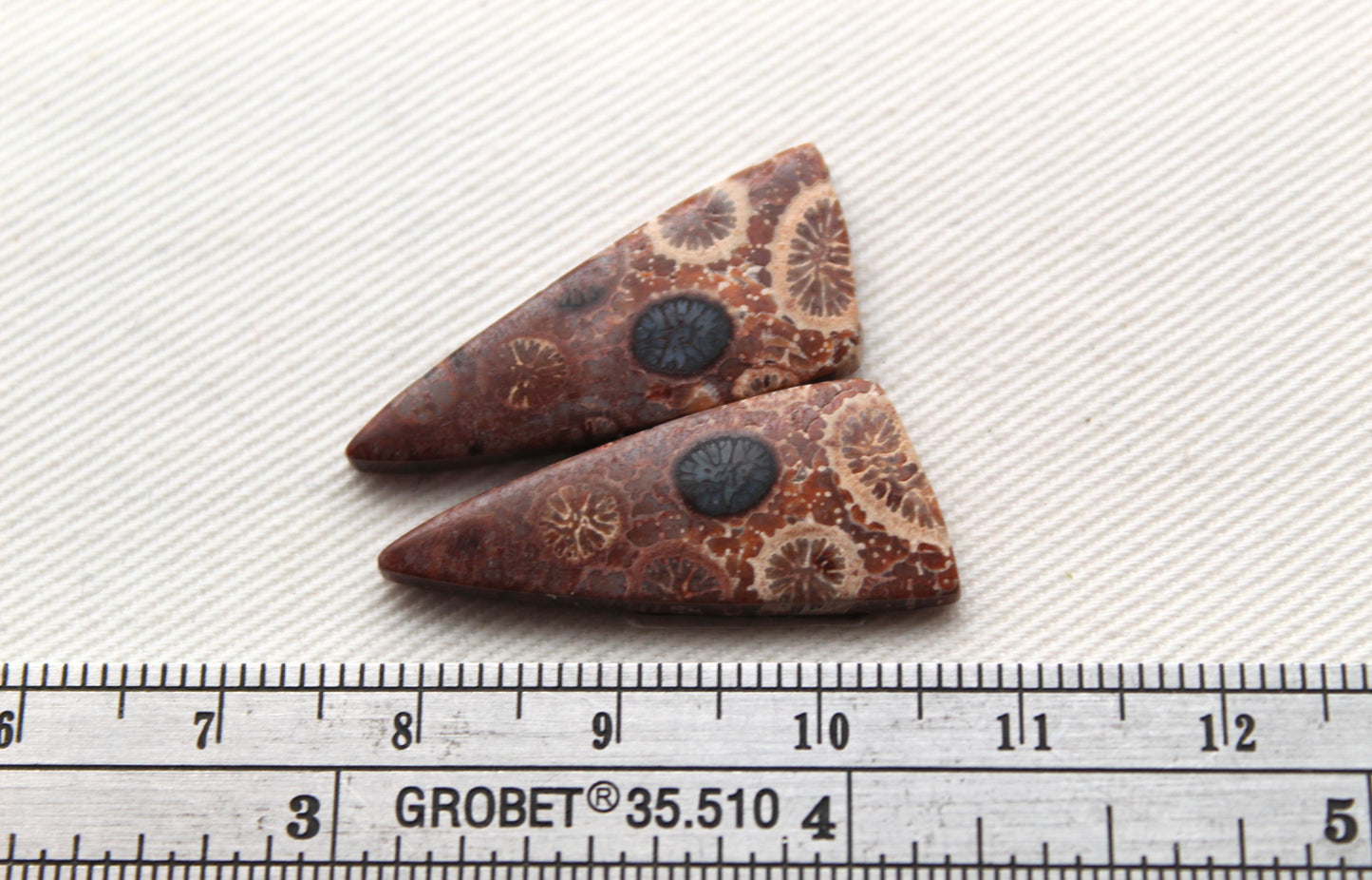 Fossilized Coral Pair of Gemstones cabochon beige natural
