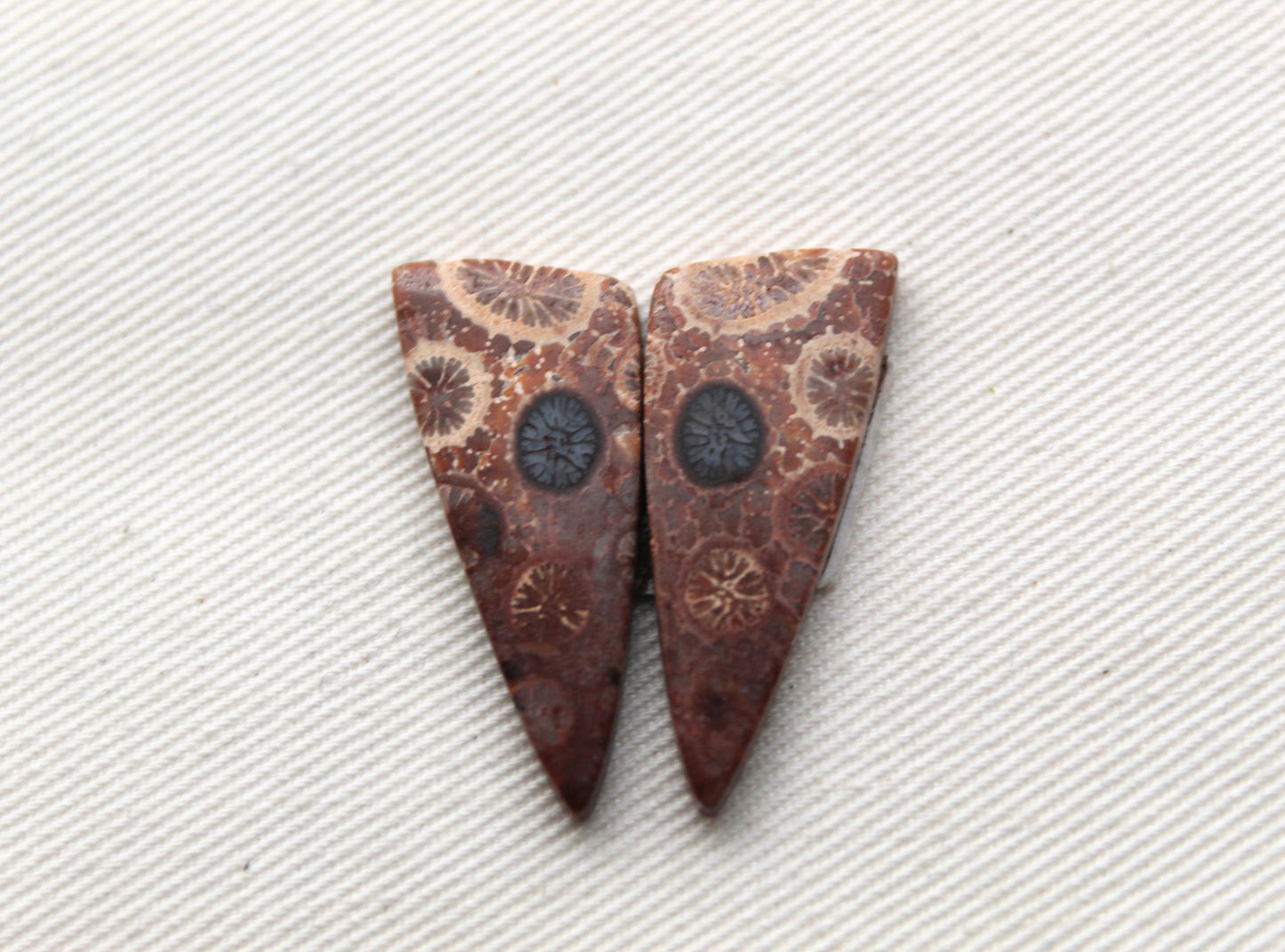 Fossilized Coral Pair of Gemstones cabochon beige natural