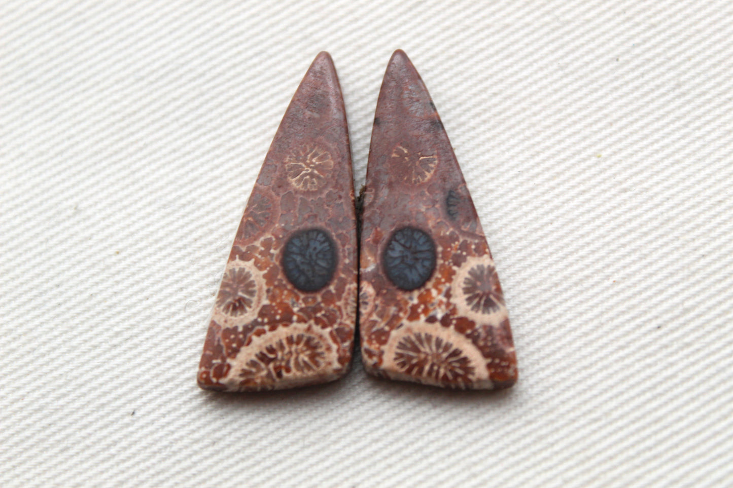 Fossilized Coral Pair of Gemstones cabochon beige natural