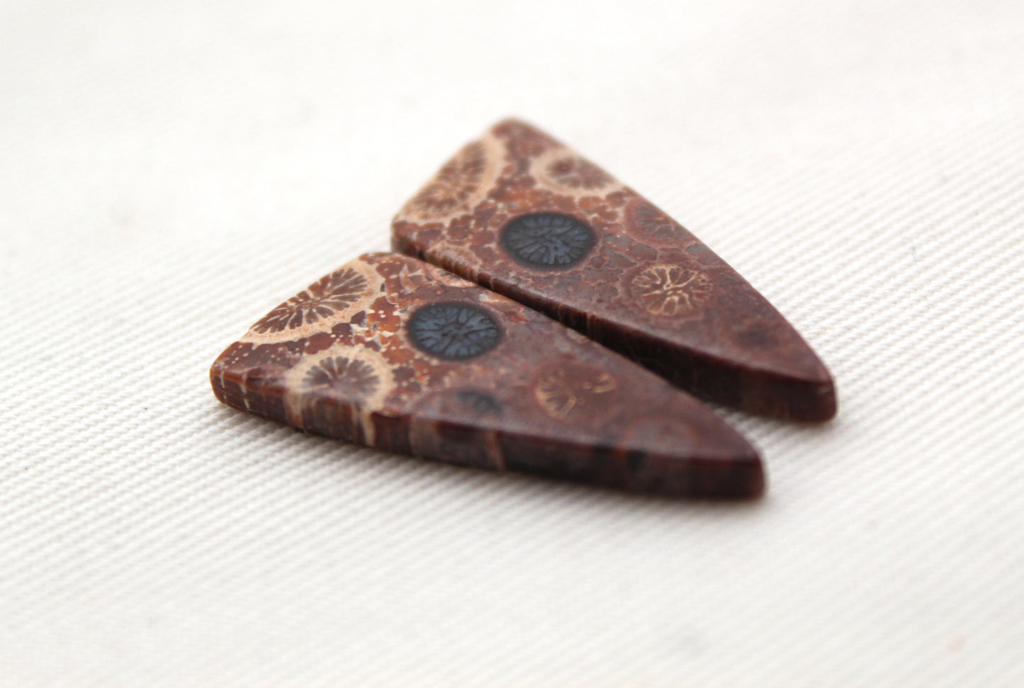 Fossilized Coral Pair of Gemstones cabochon beige natural