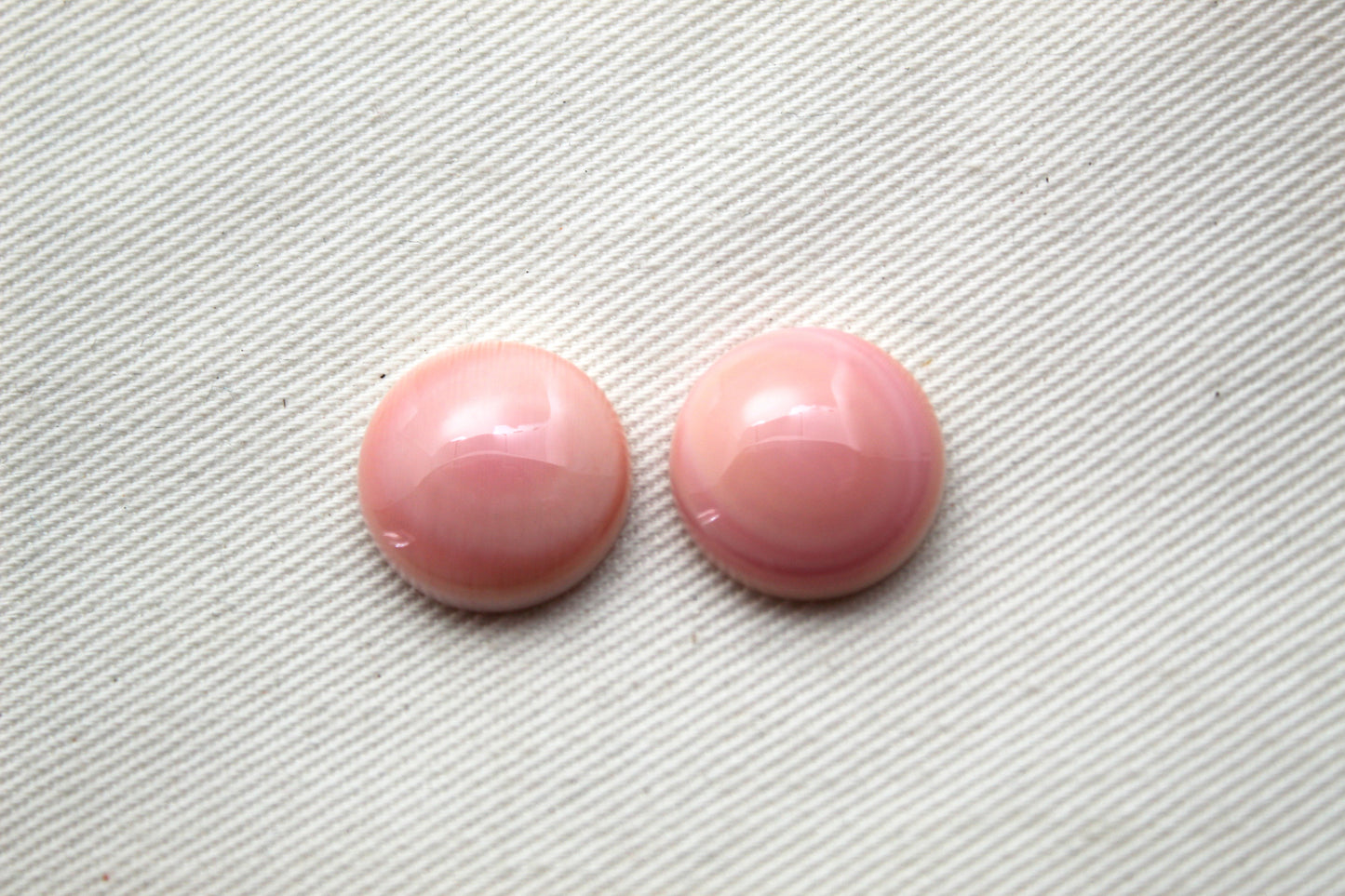 TWO Queen Conch Shell Round Cabochon 14MM