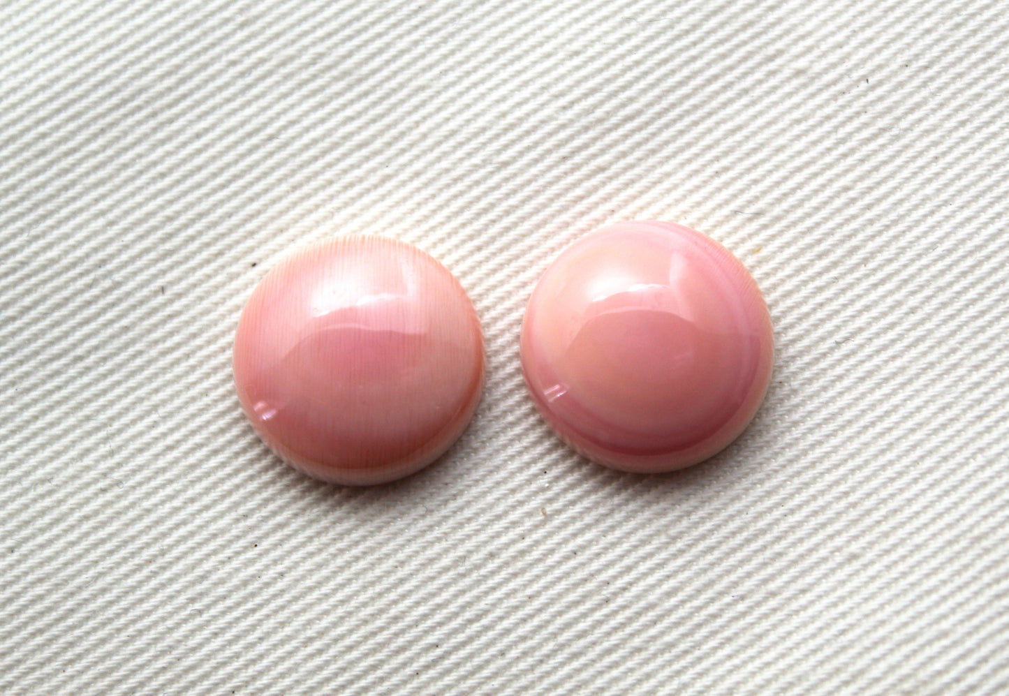 TWO Queen Conch Shell Round Cabochon 14MM